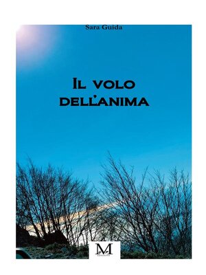 cover image of Il volo dell'anima
